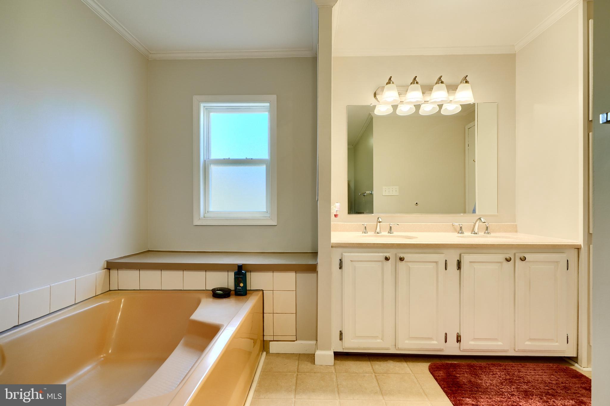 127 Cowhide Circle Baltimore, MD 21220 - Photo 26 of 27 a bathroom with a tub sink and mirror