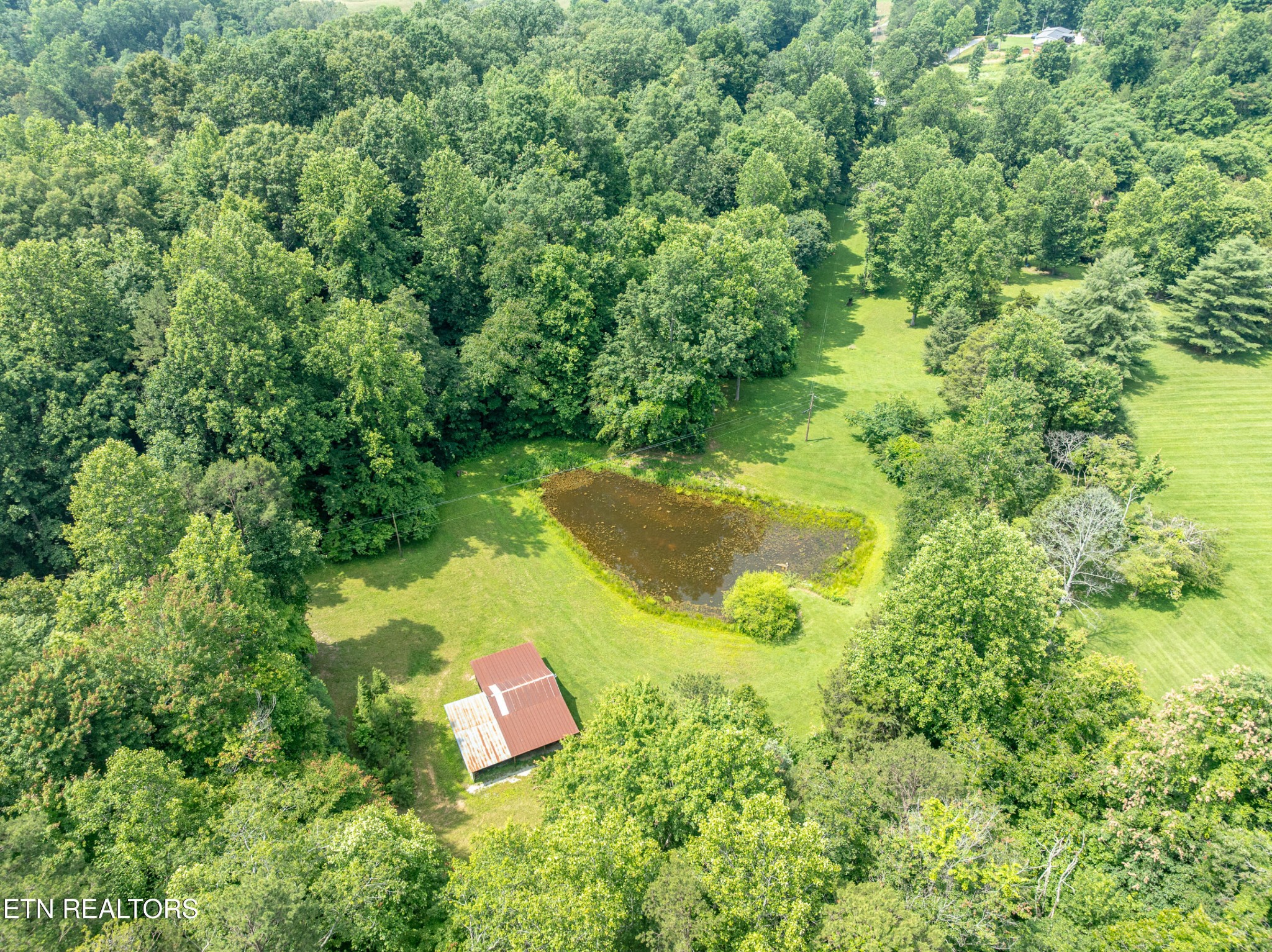 882 Walker Road Sharps Chapel, TN 37866 - Photo 4 of 60 Gallery Image 4