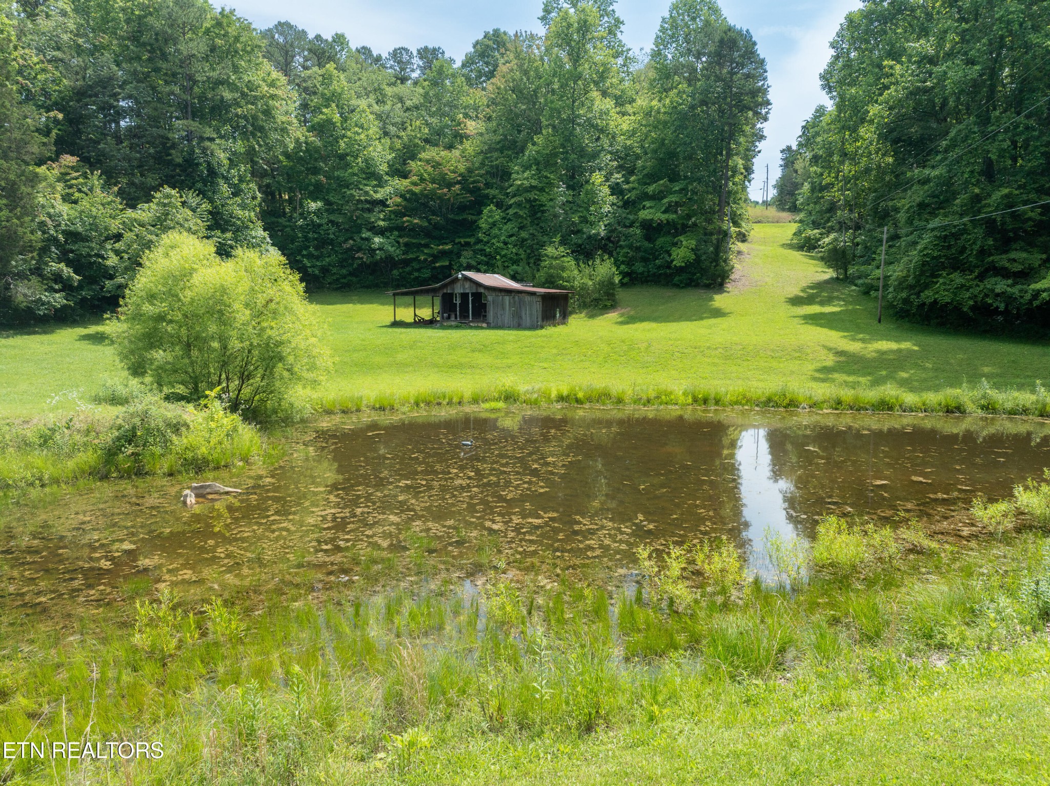 882 Walker Road Sharps Chapel, TN 37866 - Photo 8 of 60 Gallery Image 8