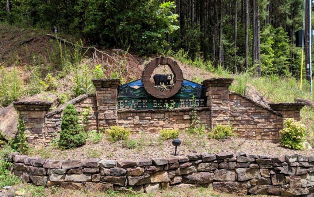 Lot 6 Black Bear Ridge Road Ellijay, GA 30536 - Photo 15 of 19 Gallery Image 15