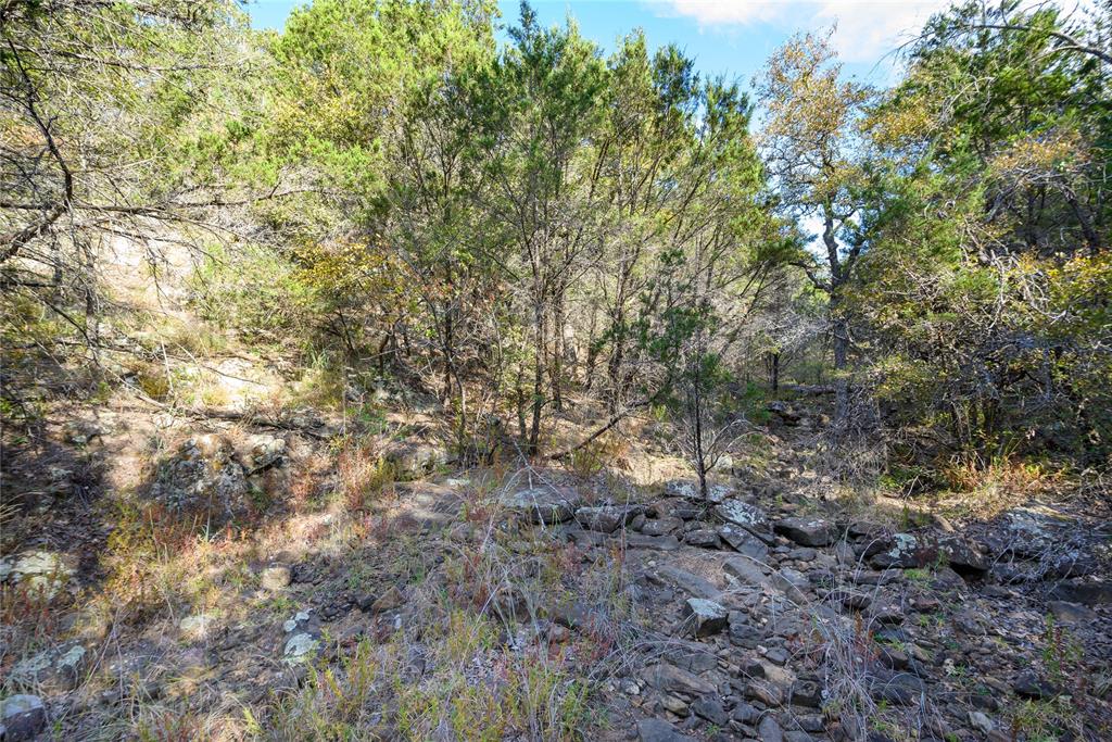 Tbd Ward Mt Road Santo, TX 76472 - Photo 4 of 11 a view of a yard with a tree