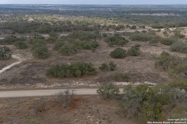an aerial view of forest