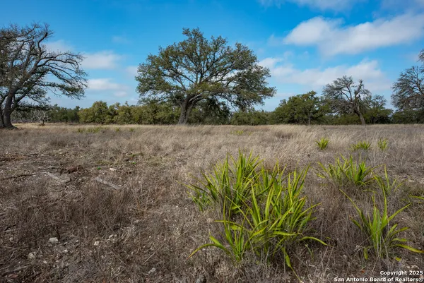 a view of a lake with mountain in the background