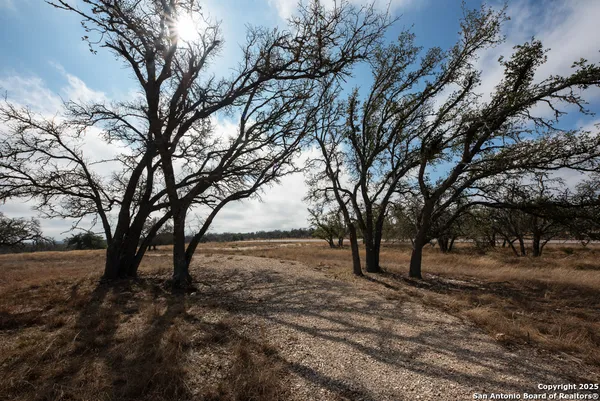 a view of covered with snow in back yard