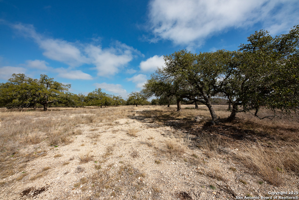 0 Fiedler Rd Off S Ranch Rd 783 Harper, TX 78631 - Photo 7 of 27 a view of a yard with a tree
