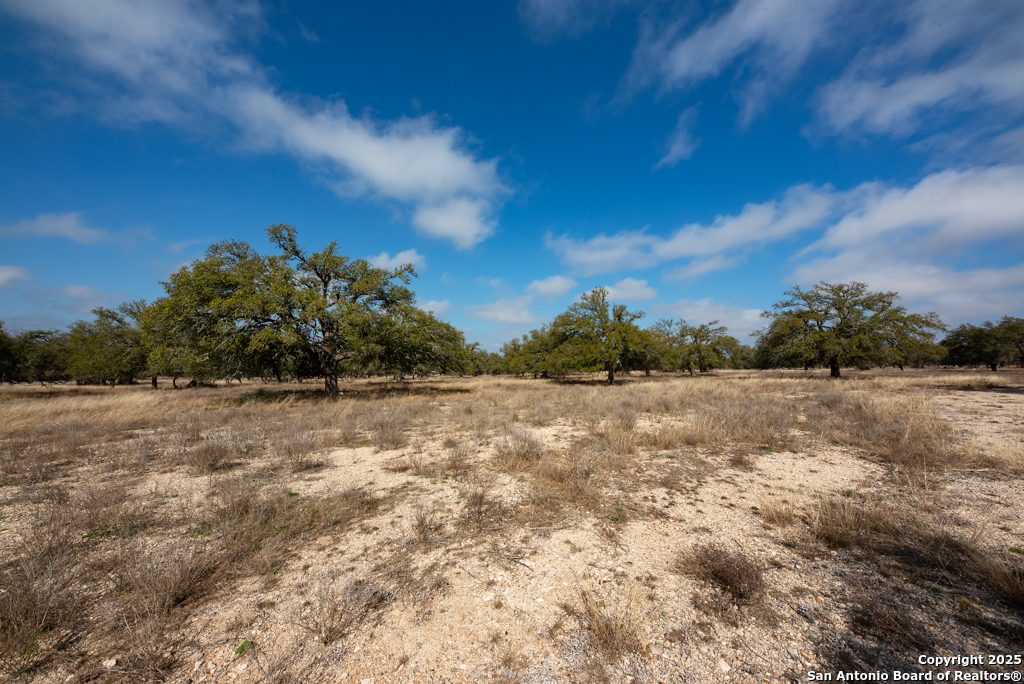 0 Fiedler Rd Off S Ranch Rd 783 Harper, TX 78631 - Photo 9 of 27 a view of a yard