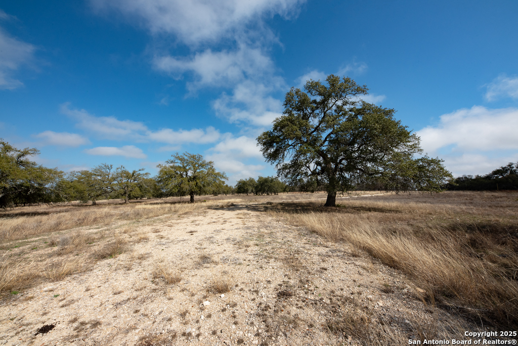 0 Fiedler Rd Off S Ranch Rd 783 Harper, TX 78631 - Photo 10 of 27 a view of beach and yard