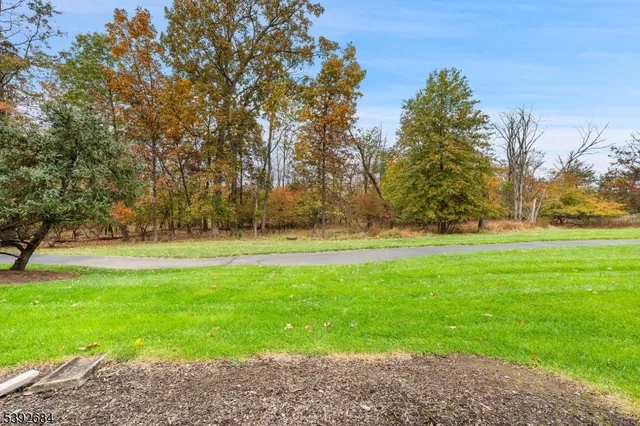 a view of yard with green space
