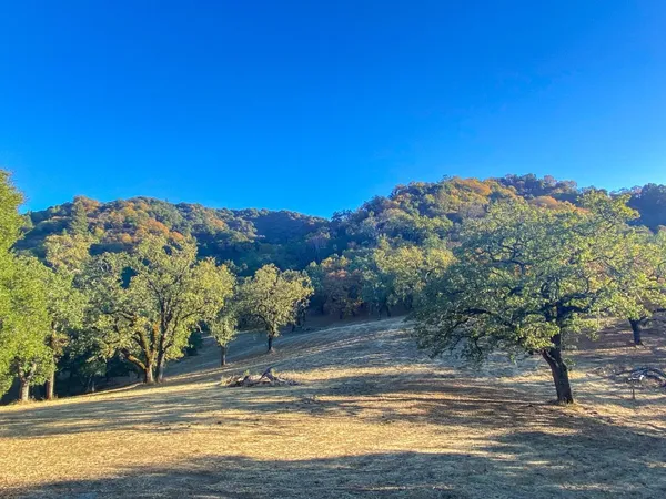 a view of a water fountain in front of a house