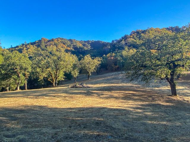 a view of a swimming pool with an ocean view