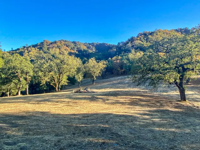 a view of a swimming pool with an ocean view