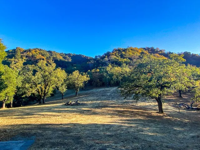 a view of a swimming pool with an ocean view