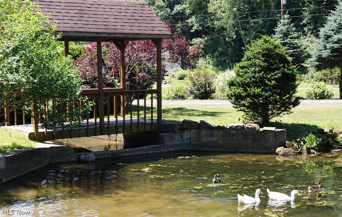 165 Major Road Northeast Minerva, OH 44657 - Photo 5 of 35 ENJOY WATCHING THE DUCKS , ADORABLE COVERED WALKING BRIDGE
