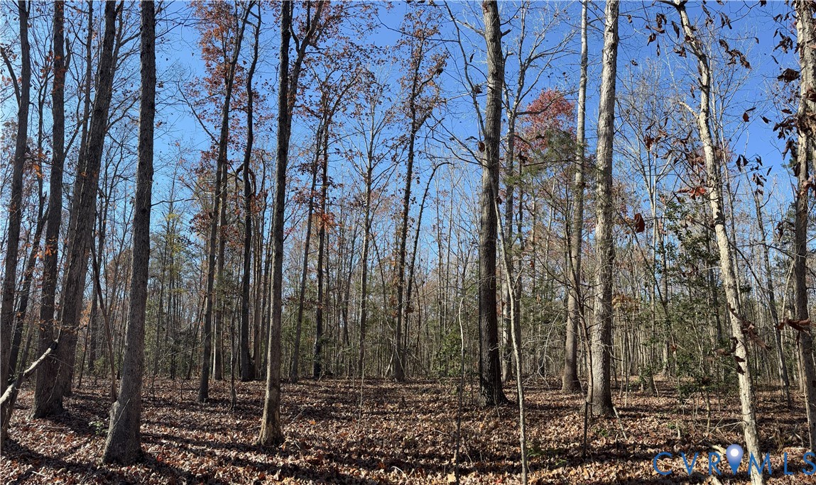 Lot 4 Diggstown Road Bumpass, VA 23024 - Photo 1 of 7 Looking up the ridge at the potential homesite