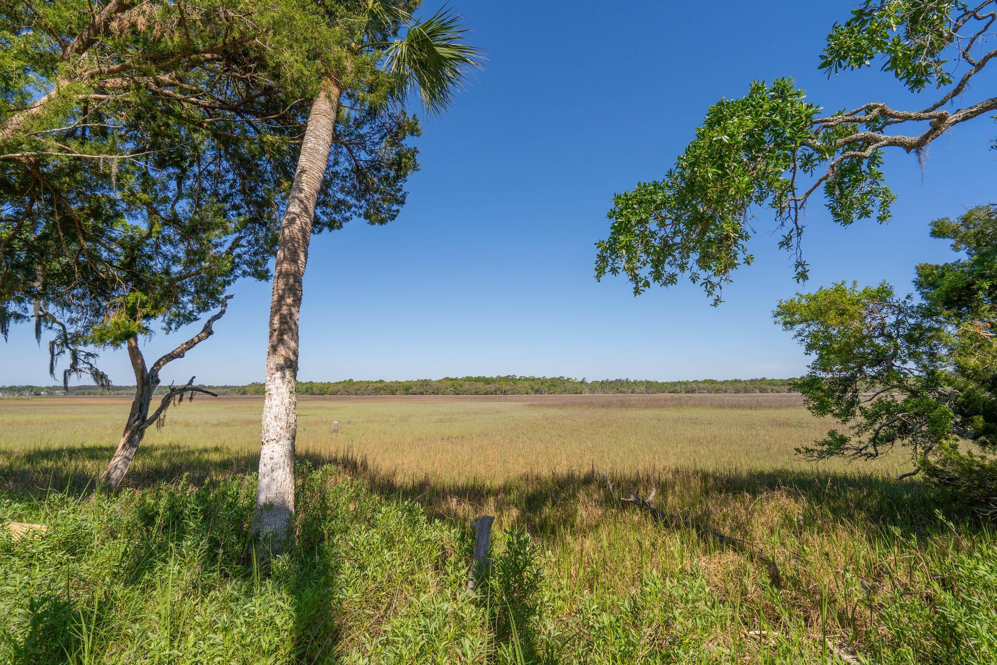 123 Jungle Road Edisto Island, SC 29438 - Photo 34 of 51 33