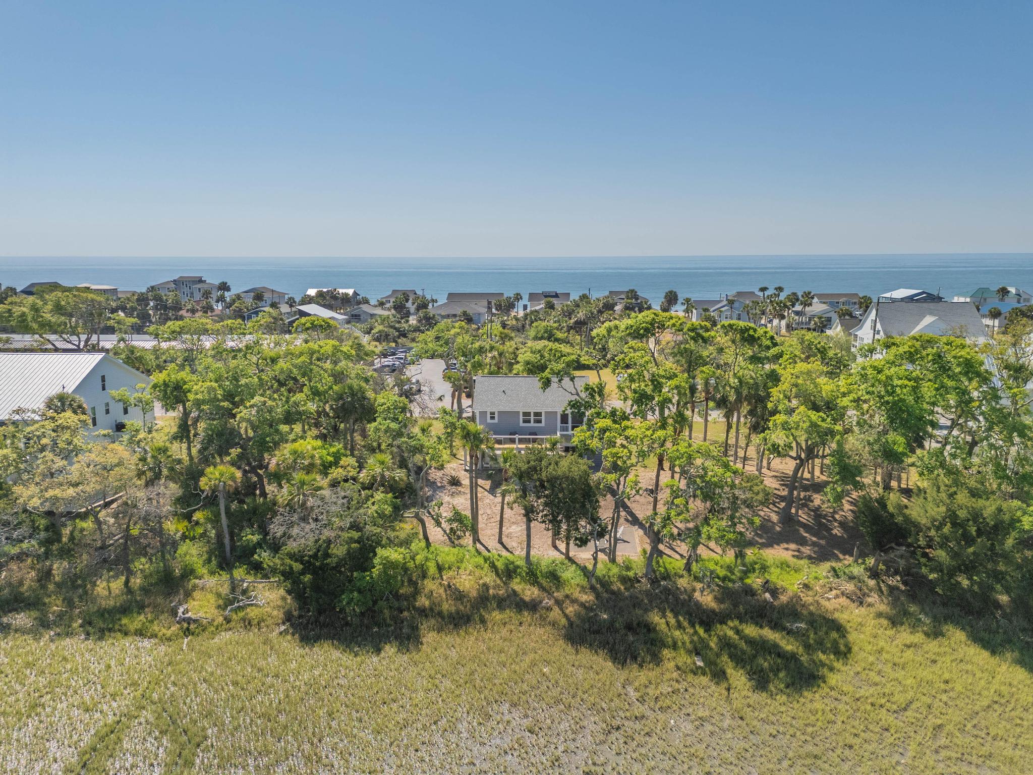 123 Jungle Road Edisto Island, SC 29438 - Photo 35 of 51 34