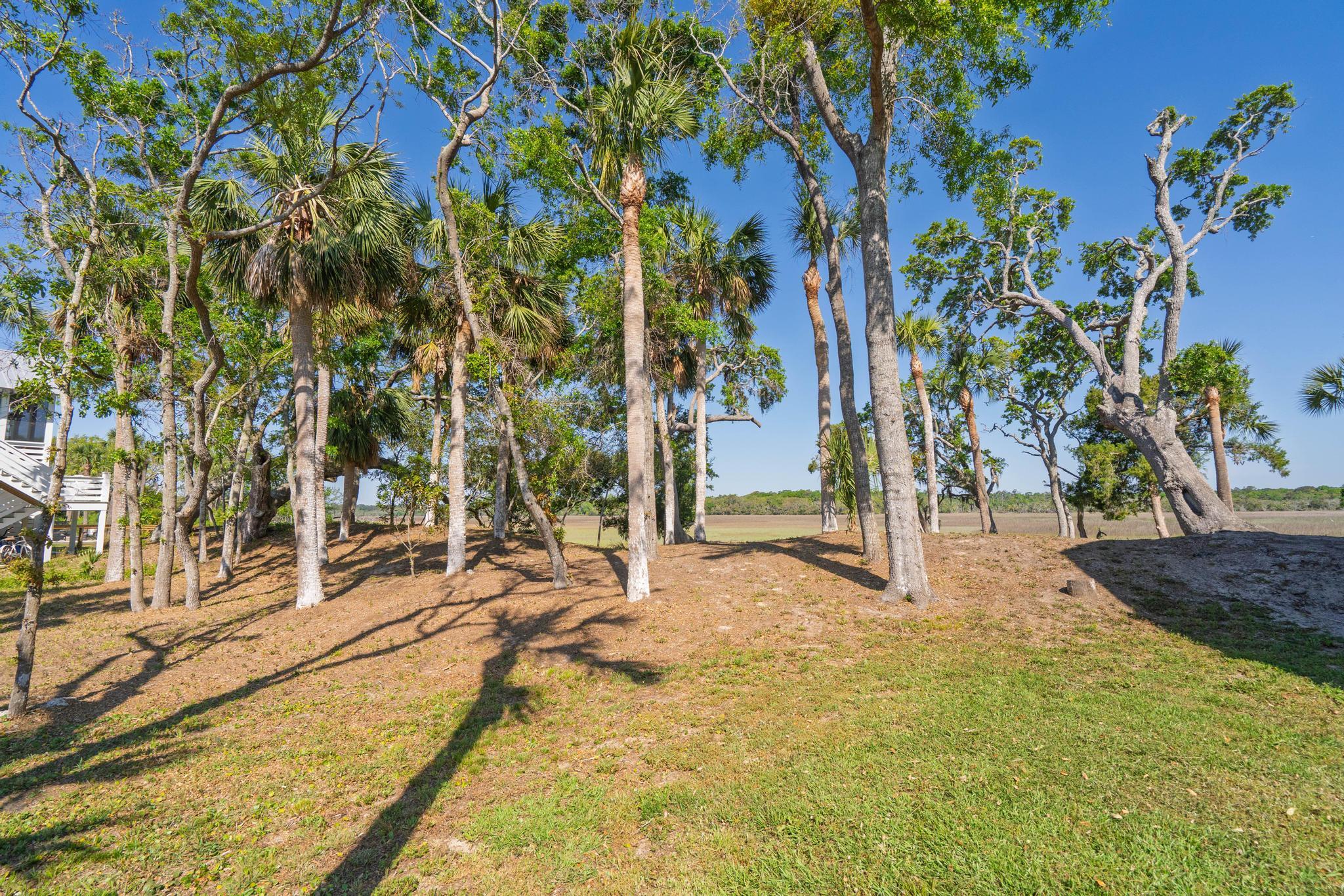123 Jungle Road Edisto Island, SC 29438 - Photo 46 of 51 47