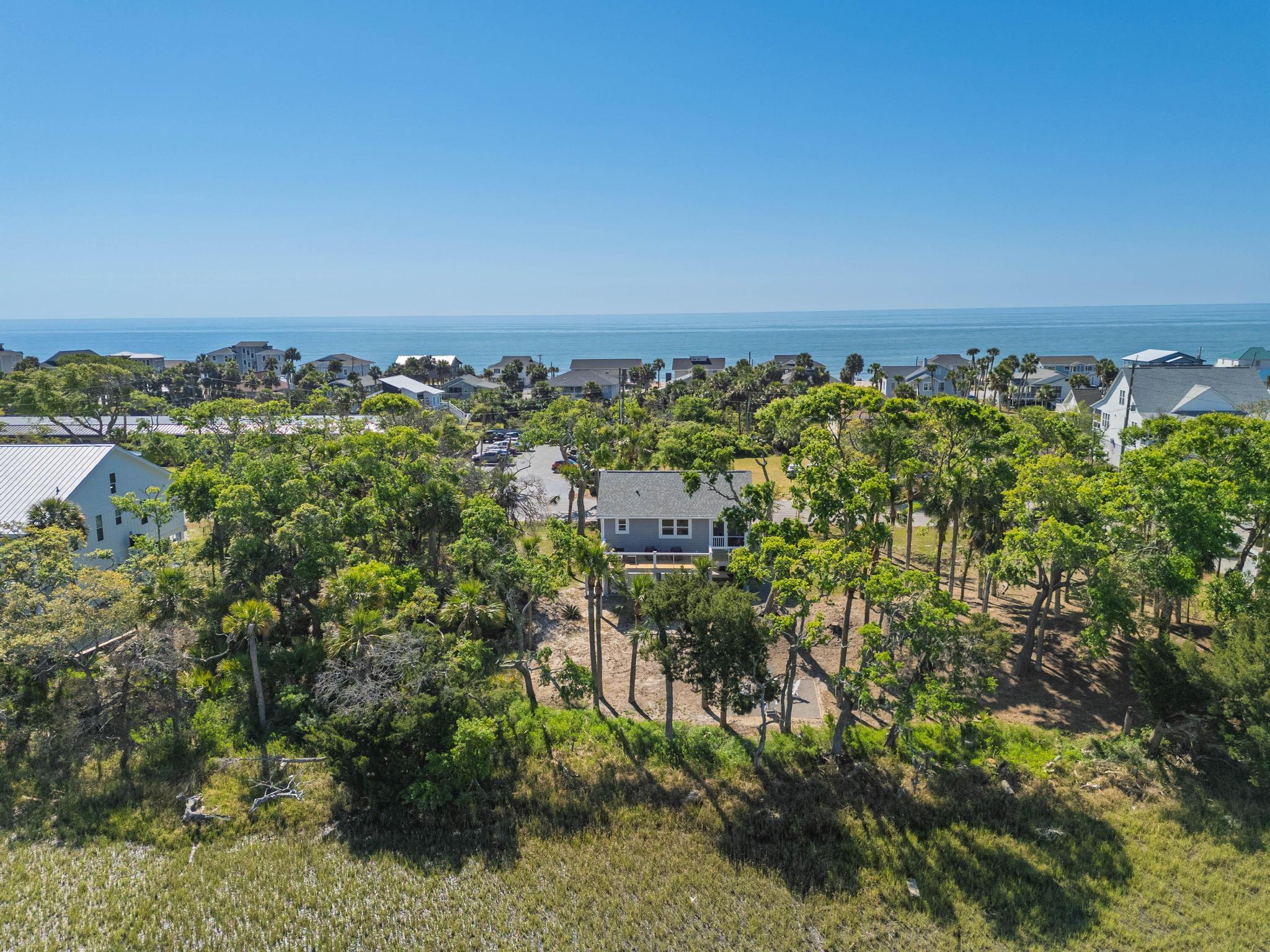 123 Jungle Road Edisto Island, SC 29438 - Photo 8 of 51 6a