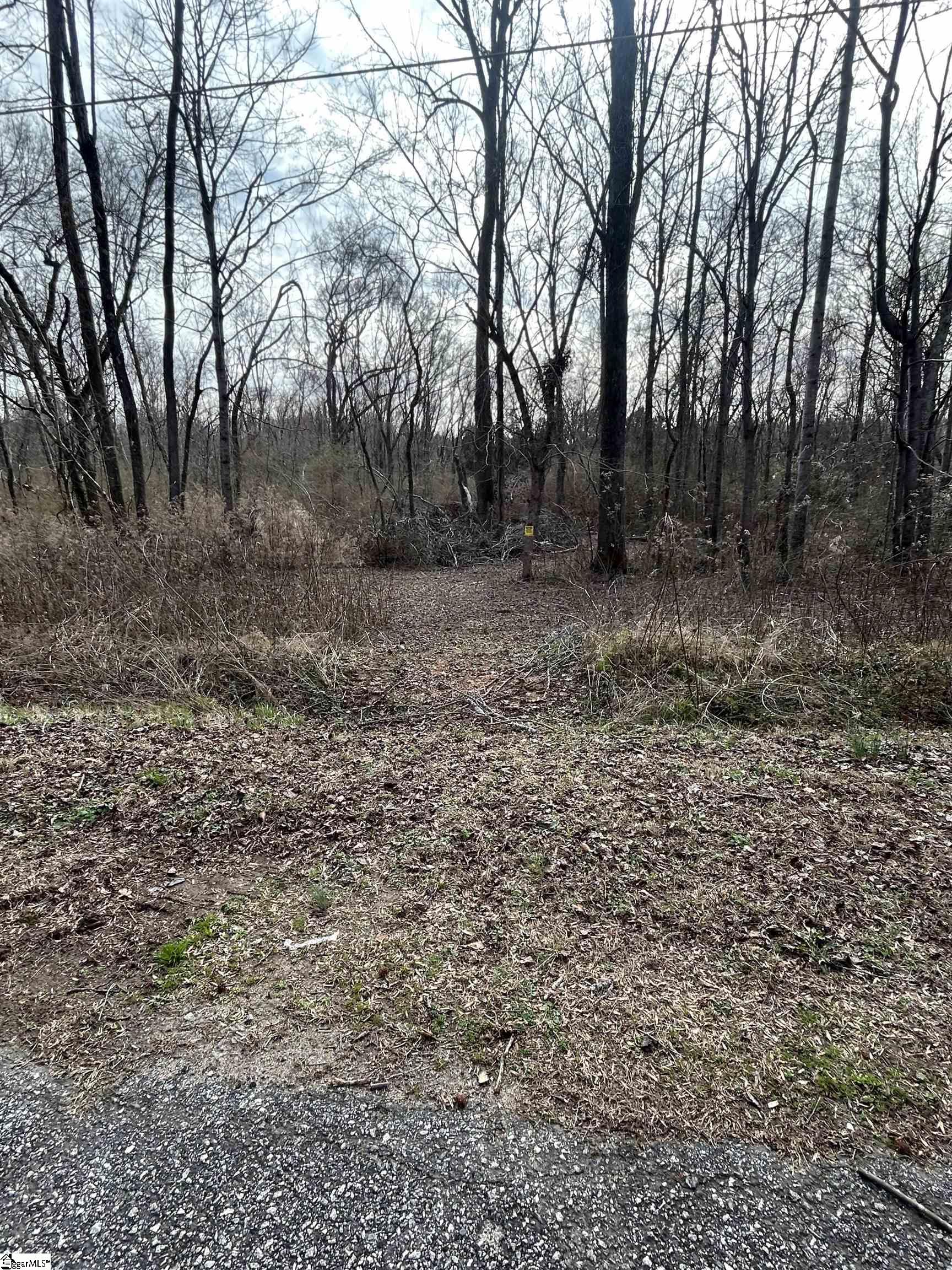 0 Martins Lake Road Gray Court, SC 29645 - Photo 13 of 14 Gallery Image 13