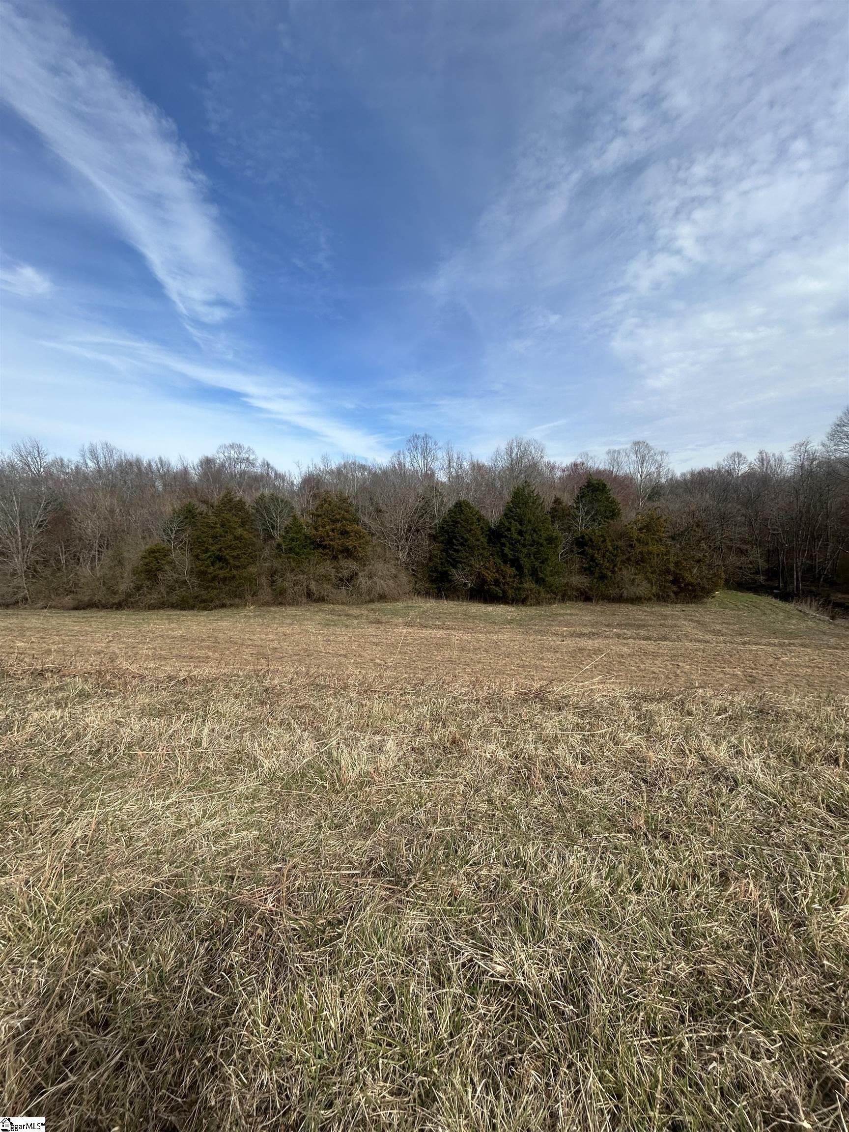 0 Martins Lake Road Gray Court, SC 29645 - Photo 6 of 14 Gallery Image 6