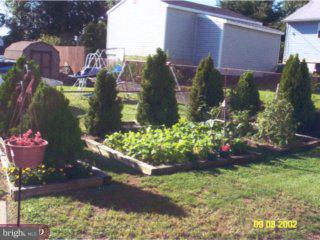 330 South Cedar Avenue Maple Shade, NJ 08052 - Photo 3 of 6 Gallery Image 3
