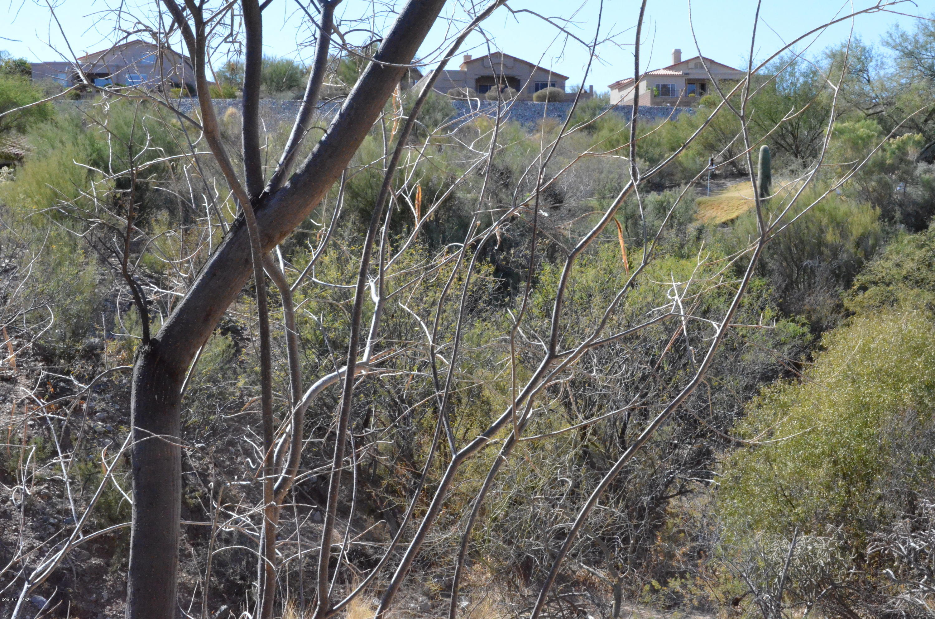 5855 North Kolb Road, Unit 13209 Tucson, AZ 85750 - Photo 17 of 42 Gallery Image 17