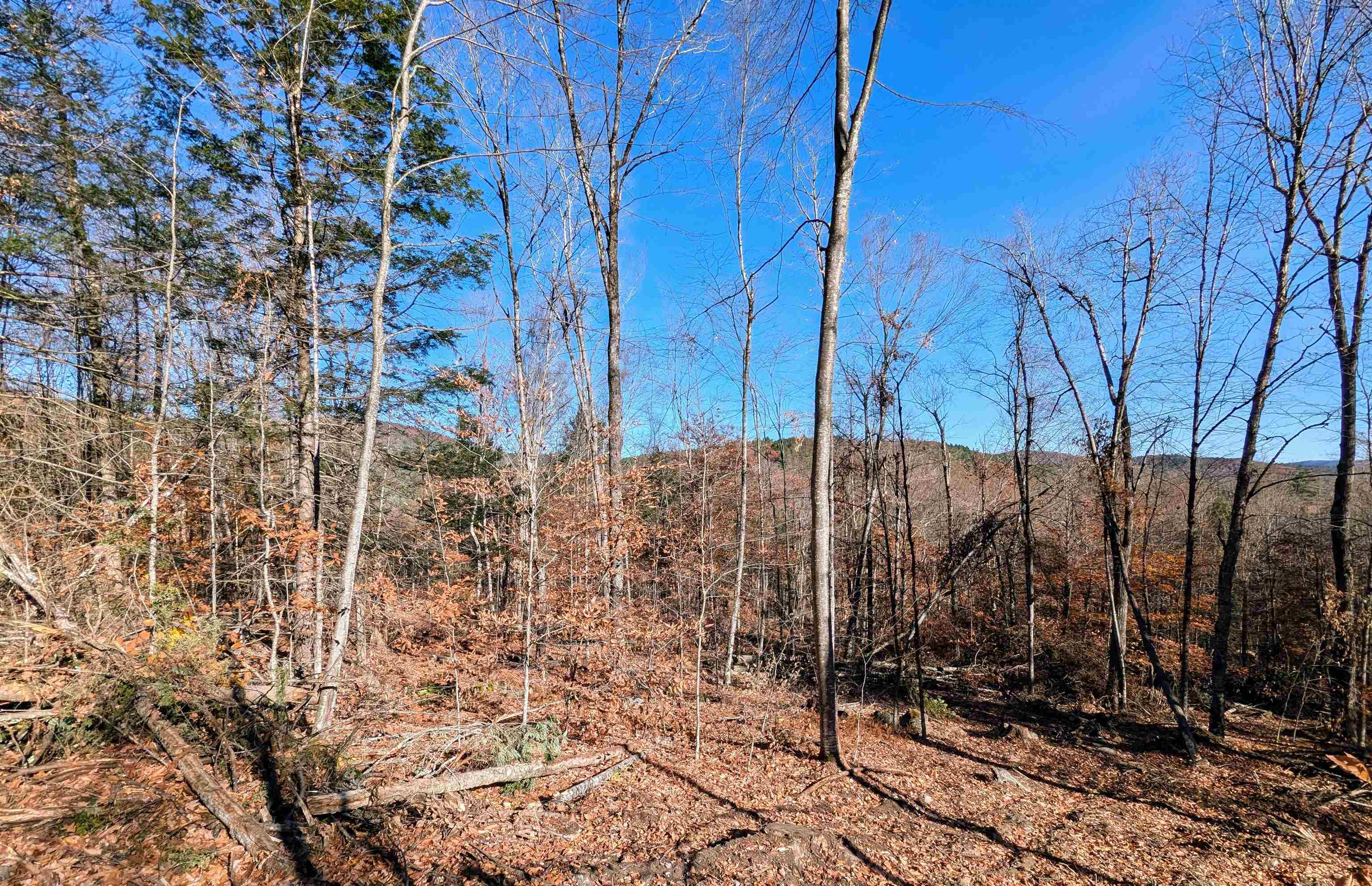 0 Dover Road South Newfane, VT 05351 - Photo 8 of 15