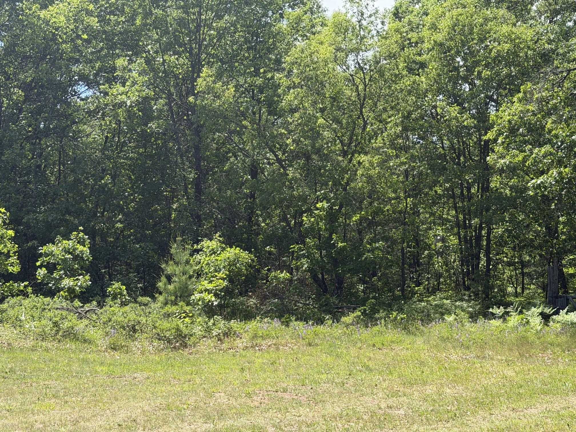 North Court, Unit 49 Shawano, WI 54166 - Photo 14 of 19