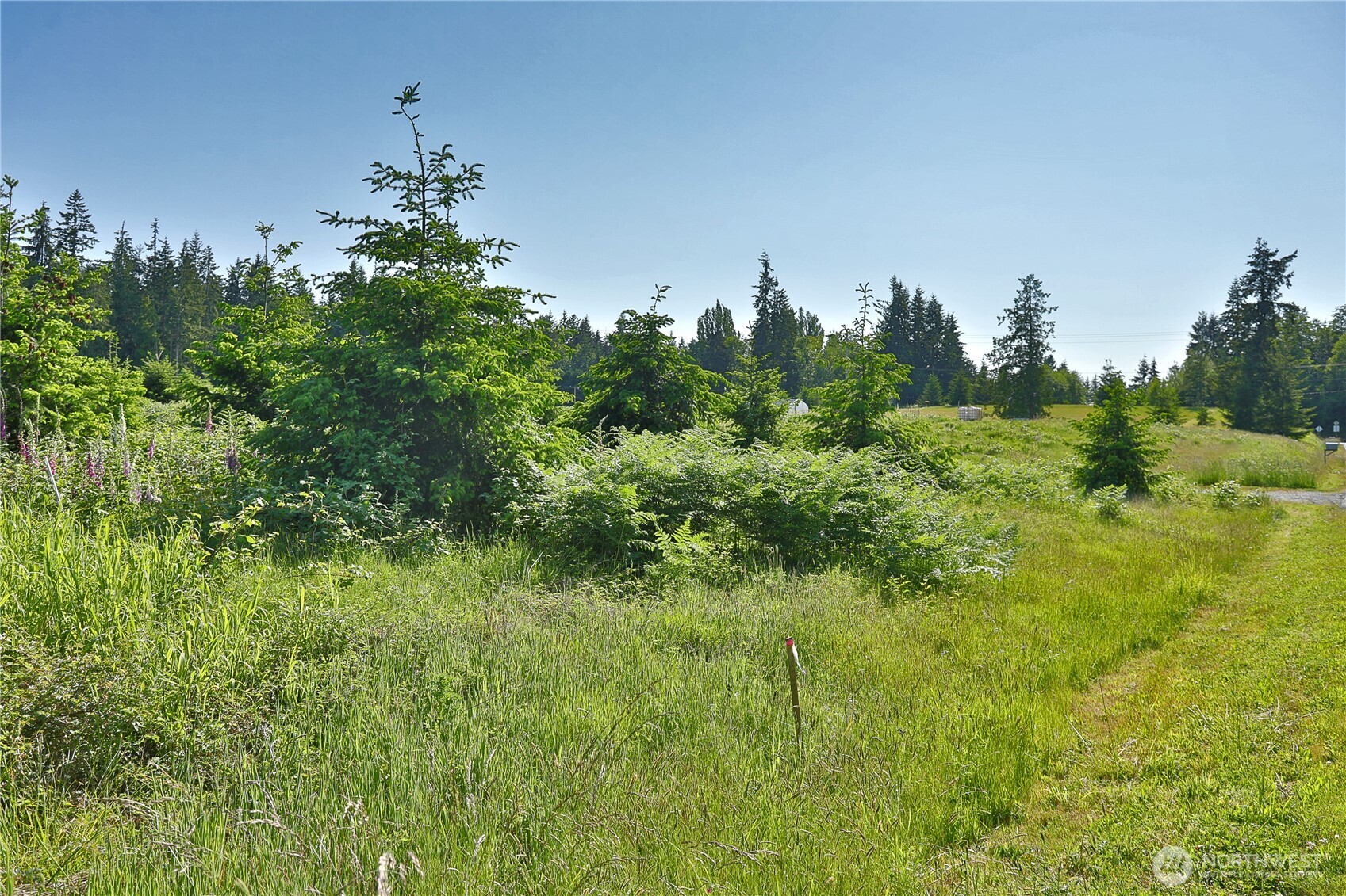 2062 East Goodell Road Freeland, WA 98249 - Photo 4 of 37