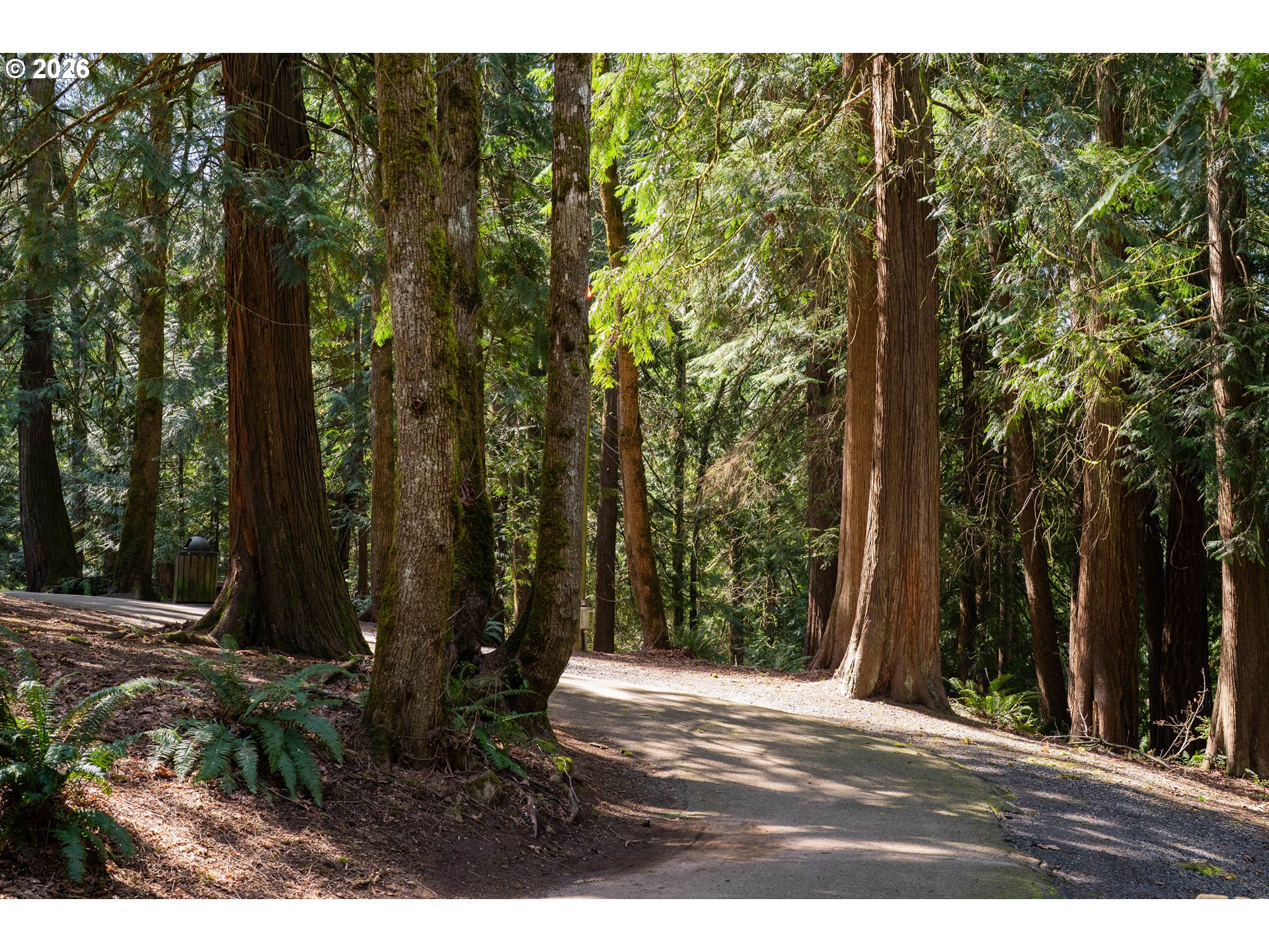 17720 Tupper Road Sandy, OR 97055 - Photo 20 of 21 Neighborhood Park