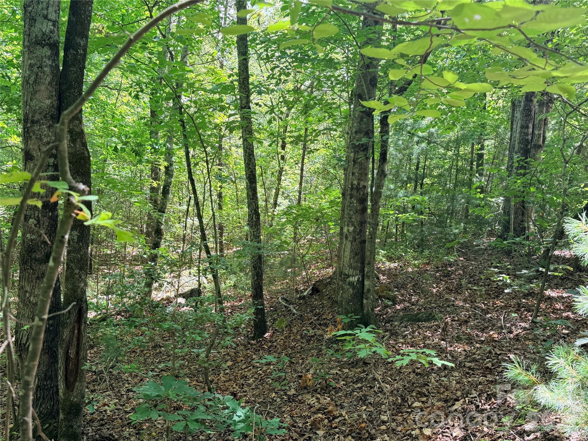 0 Grassy Knob Road, Unit 5 Mill Spring, NC 28756 - Photo 7 of 10