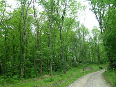 0 Rifle Range Road Alexandria, KY 41001 - Photo 2 of 7 Gallery Image 2