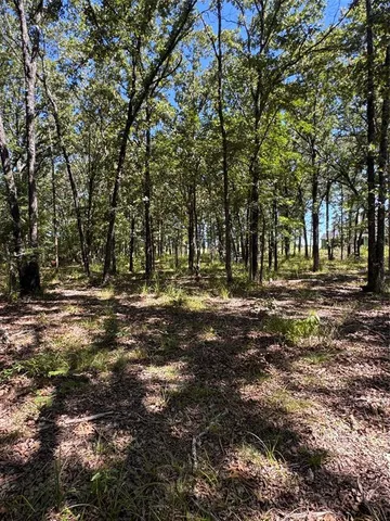 a view of outdoor space with trees