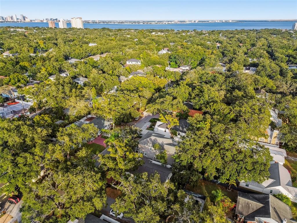 3320 West Villa Rosa Street Tampa, FL 33611 - Photo 57 of 63