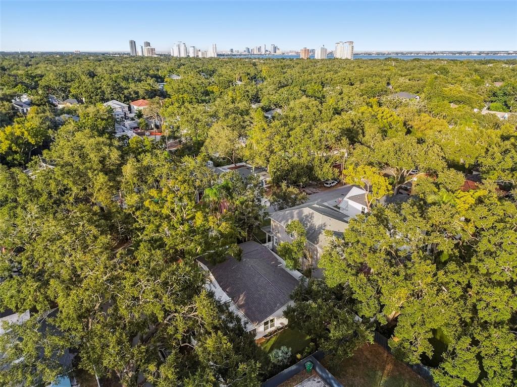 3320 West Villa Rosa Street Tampa, FL 33611 - Photo 60 of 63