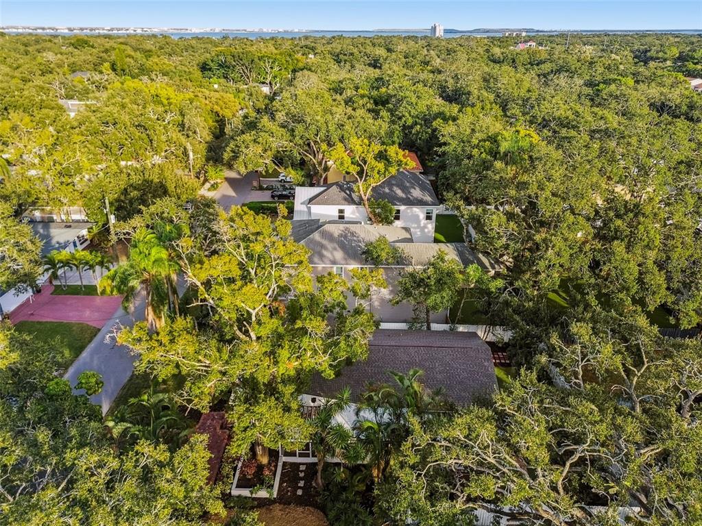 3320 West Villa Rosa Street Tampa, FL 33611 - Photo 63 of 63