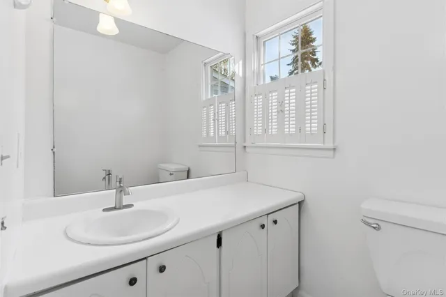 a bathroom with a sink and a toilet
