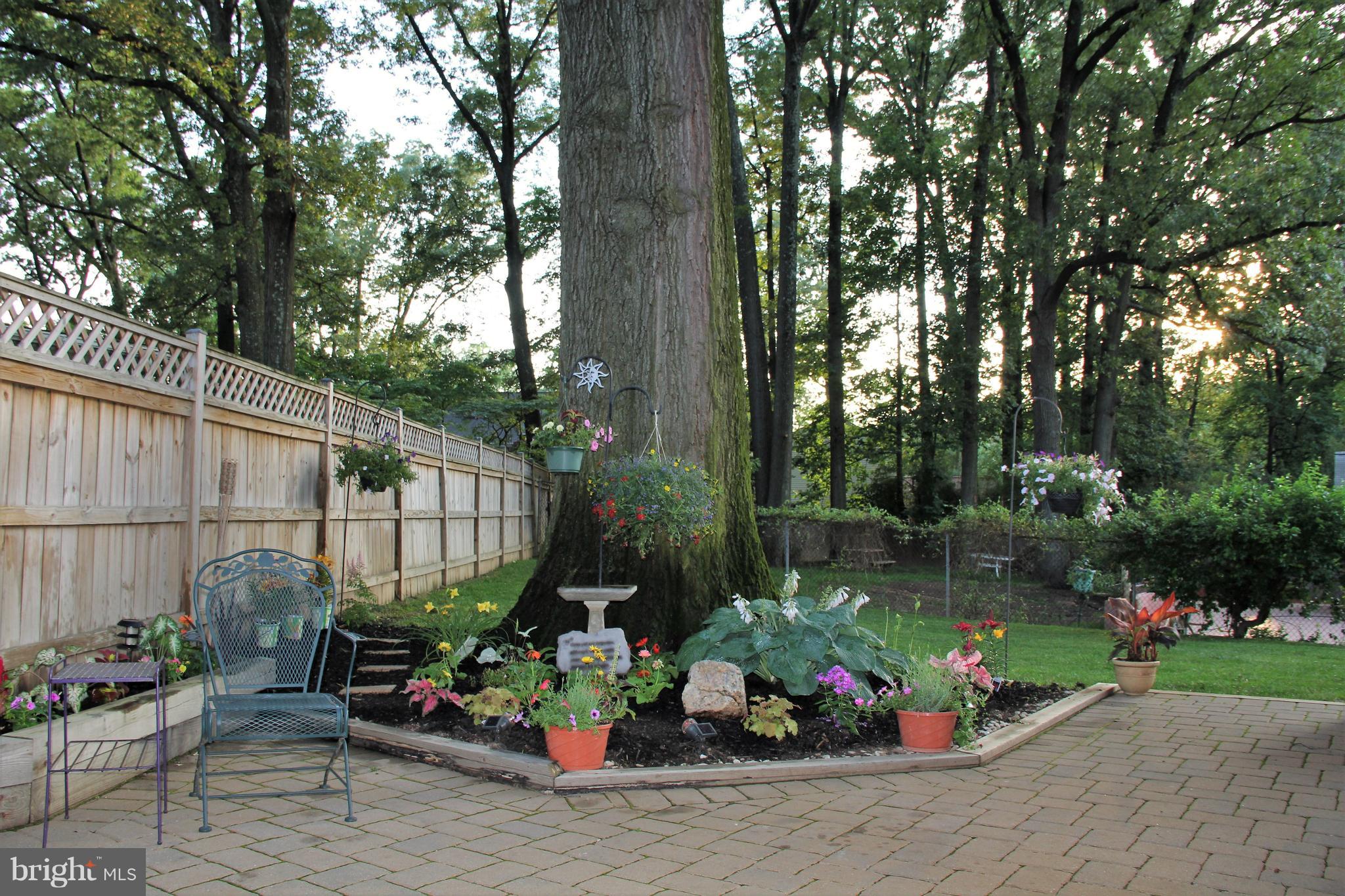 4024 Gallows Road Annandale, VA 22003 - Photo 16 of 22 Mature landscaping