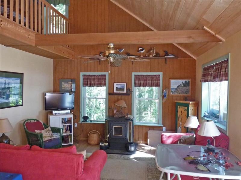 99 Silsby Road Mariaville, ME 04605 - Photo 11 of 18 Tall ceiling, cozy pellet stove
