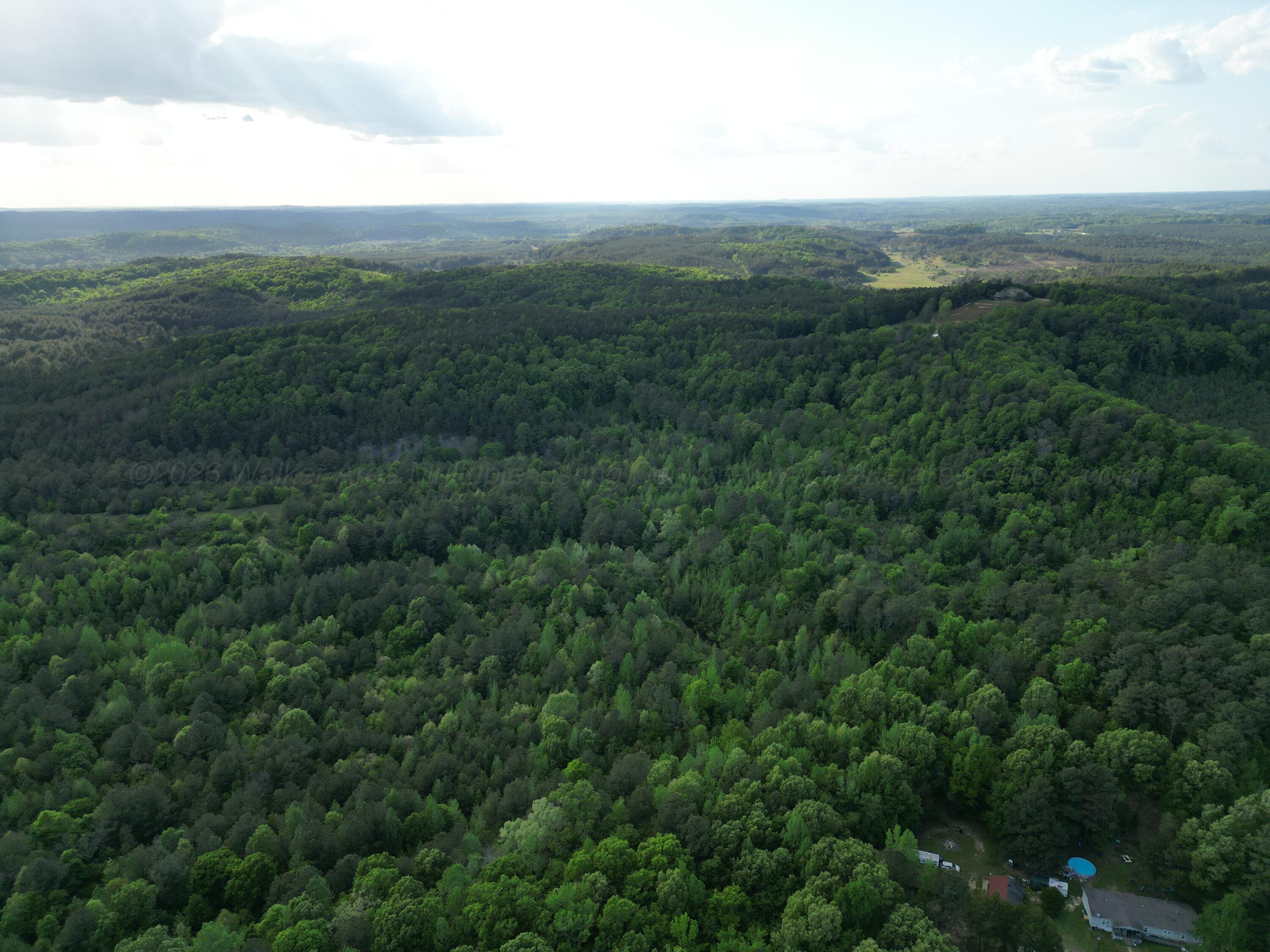 0 Dogtown Road Carbon Hill, AL 35549 - Photo 7 of 23 dji_fly_20260414_031234_712_177673611627
