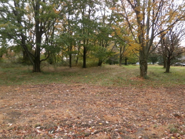 11139 Butternut Road Chardon, OH 44024 - Photo 10 of 13