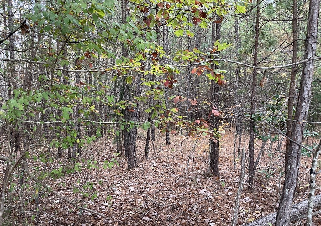 Rehoboth Road Victoria, VA 23974 - Photo 12 of 14 Gallery Image 12
