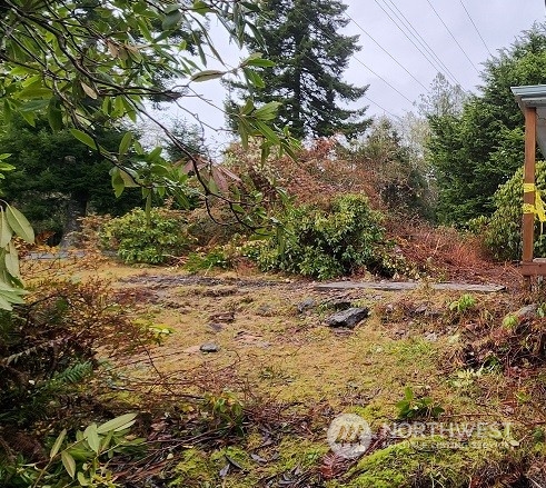 13802 Sandridge Road Long Beach, WA 98631 - Photo 2 of 13 Gallery Image 2