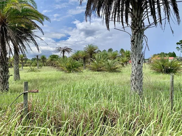 $299,000 | Dan Brown Hill Road, Dade City, FL 33523