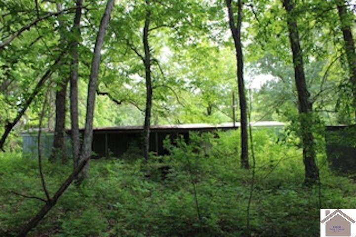 1063 Donaldson Road Princeton, KY 42445 - Photo 2 of 14 Photo 3