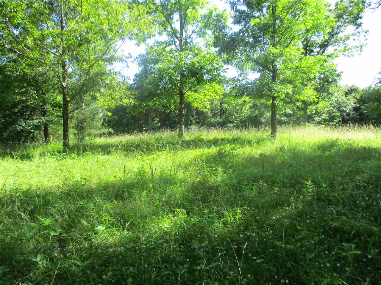 6.75-acres Liberty Ridge Road Falmouth, KY 41040 - Photo 11 of 21 Gallery Image 11
