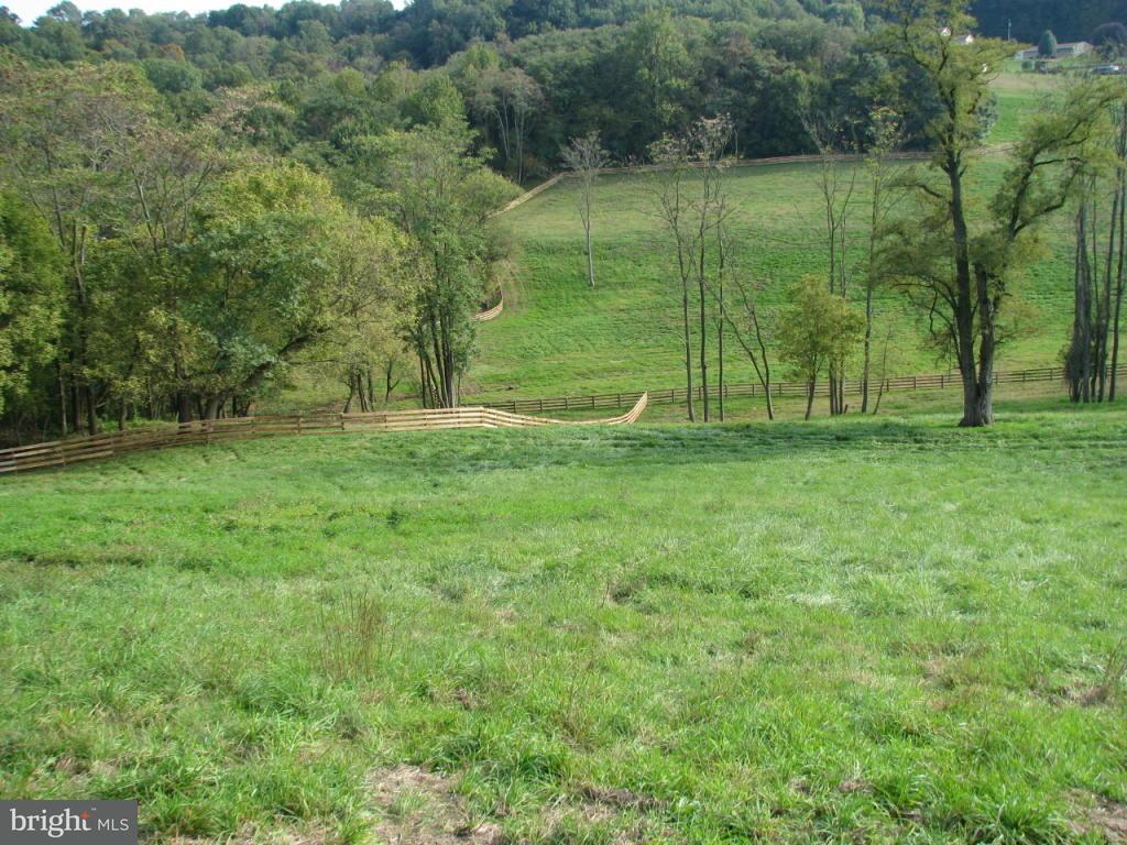 227 Frogtown Road Pequea, PA 17565 - Photo 11 of 84