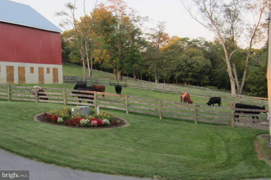 227 Frogtown Road Pequea, PA 17565 - Photo 4 of 84
