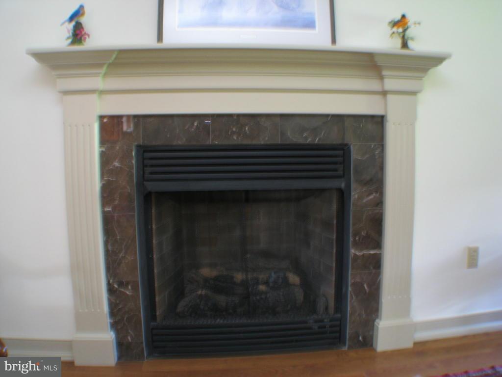 227 Frogtown Road Pequea, PA 17565 - Photo 38 of 84