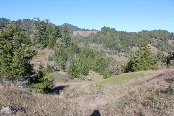$177,500 | 725 725 K Road, Miranda, CA 95553